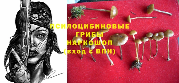 гидропоника Красноперекопск