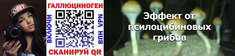 Купить где  Михайлов  Галлюциногенные грибы ЛСД 