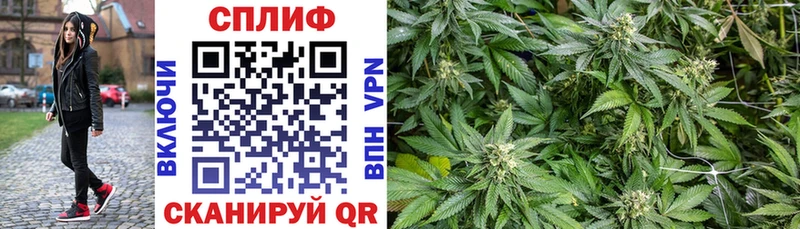 Бошки Шишки White Widow Михайлов